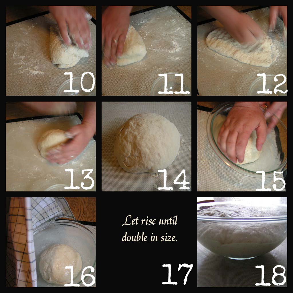 Homemade Pizza Dough 2