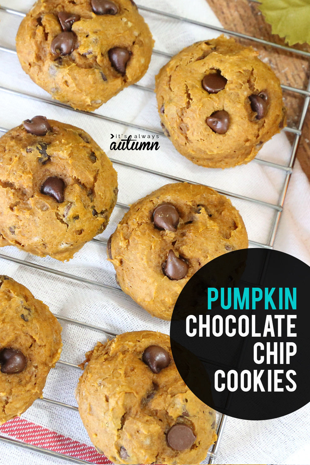 5 Ingredient Chocolate Chip Cookies
 Easy 5 ingre nt pumpkin chocolate chip cookies It s