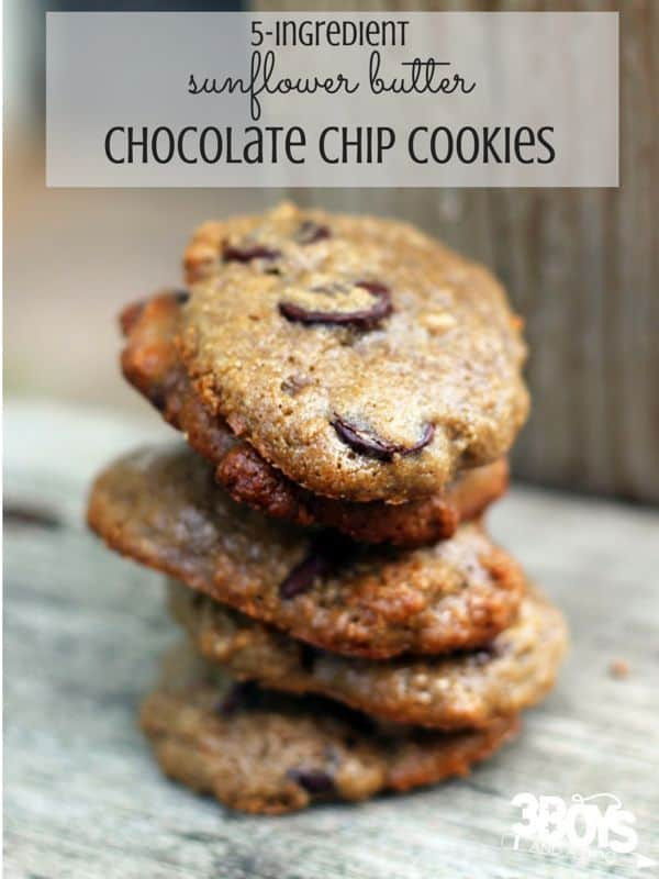 5 Ingredient Chocolate Chip Cookies
 24 of the Best Christmas Cookie Recipes for an Exchange