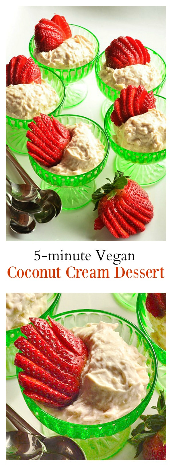 5 Minute Desserts
 5 Minute Vegan Coconut Cream Dessert