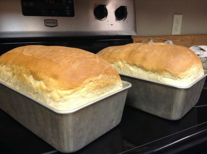 Amish White Bread
 Homemade Amish White Bread – Scratch this with Sandy