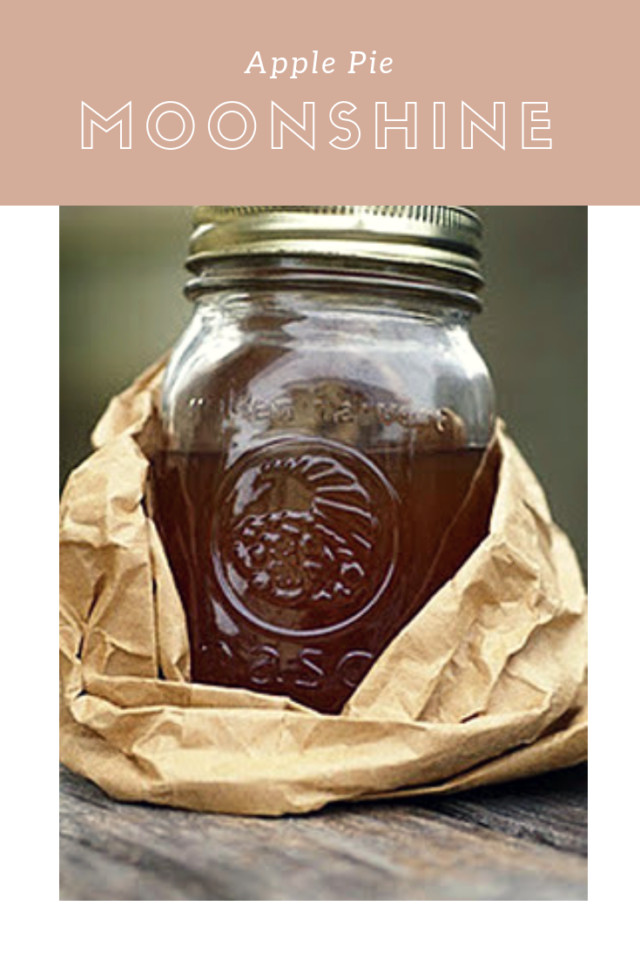 Apple Pie Moonshine Recipe With Everclear 151
 Apple Moonshine Recipe Everclear