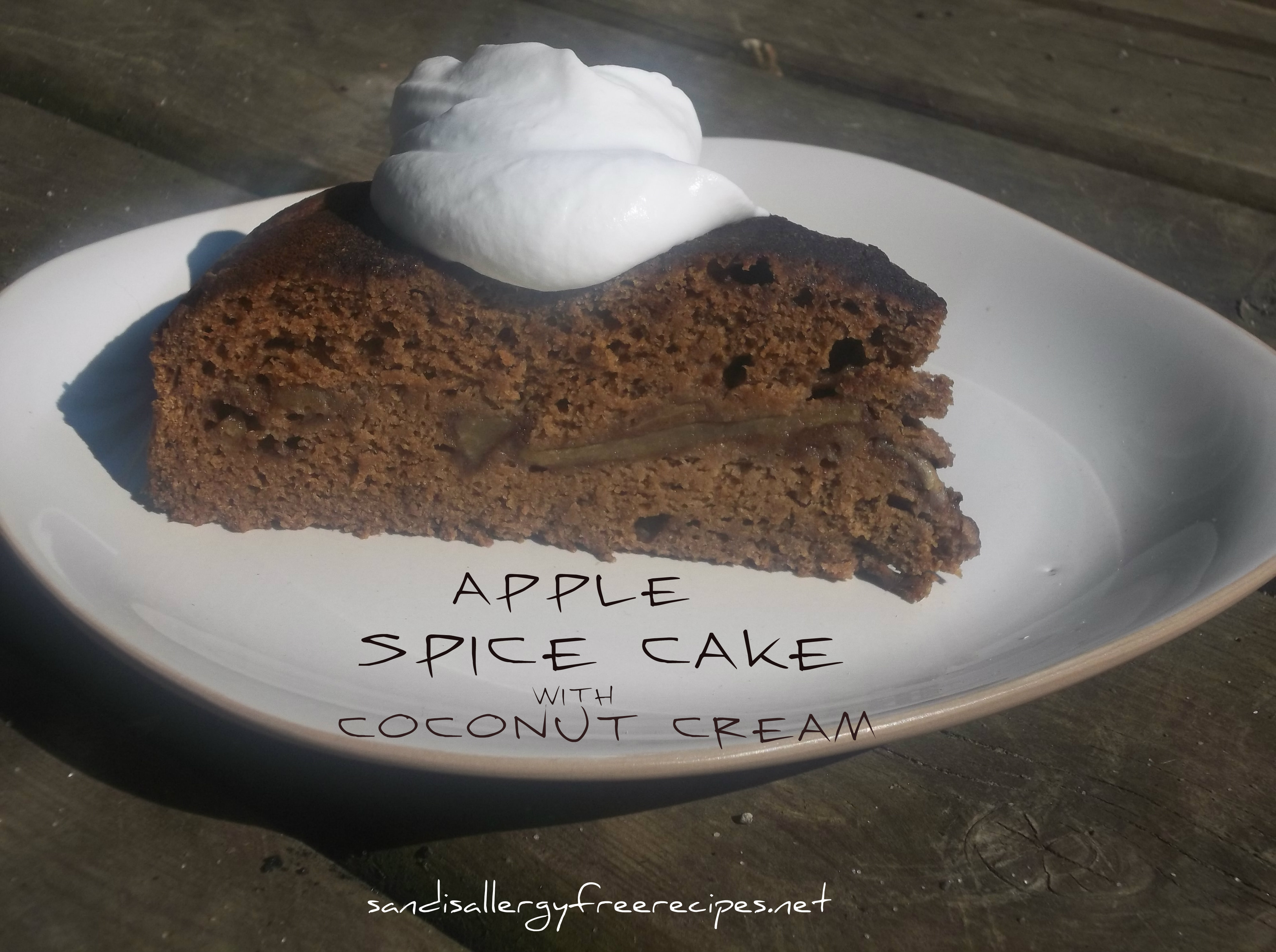 Apple Spice Cake
 Apple Spice Cake Gluten Free Dairy Free Refined Sugar