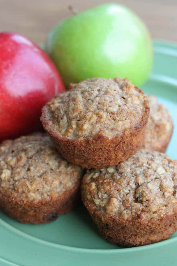 Applesauce Oatmeal Muffins
 Healthy Applesauce Oat Muffins The Best Blog Recipes