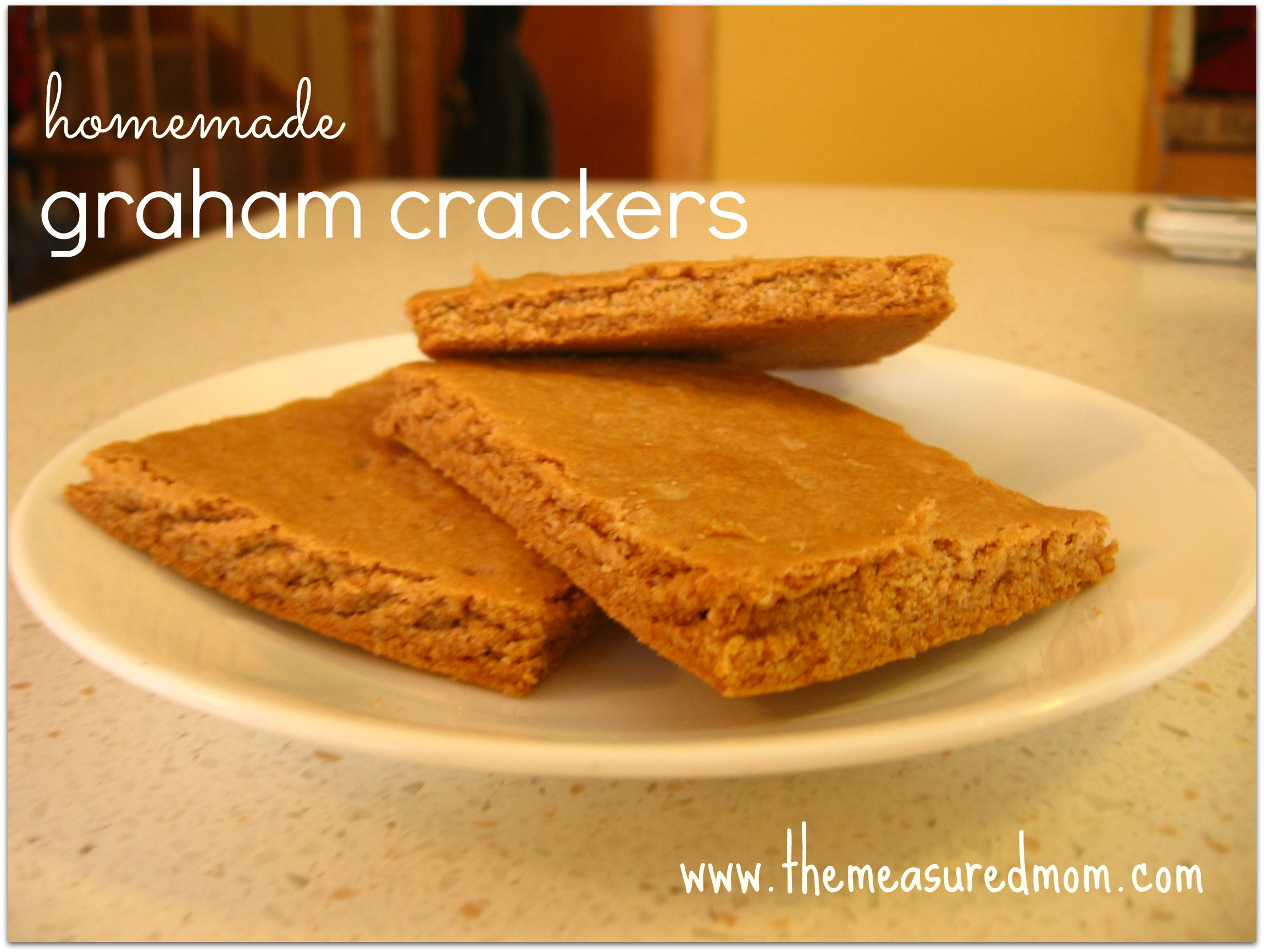 Are Graham Crackers Healthy
 Homemade Graham Crackers The Measured Mom