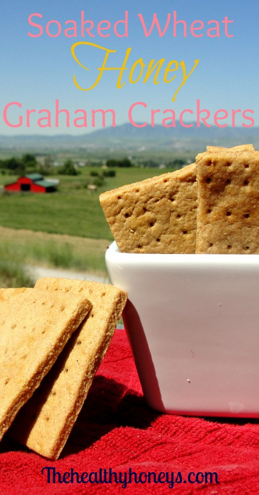 Are Graham Crackers Healthy
 Soaked Wheat Honey Graham Crackers The Healthy Honeys