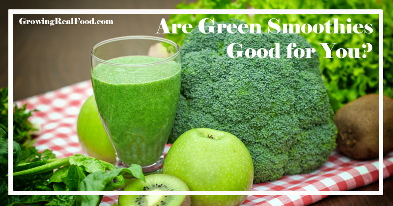 Are Smoothies Good For You
 Are Green Smoothies Good for You