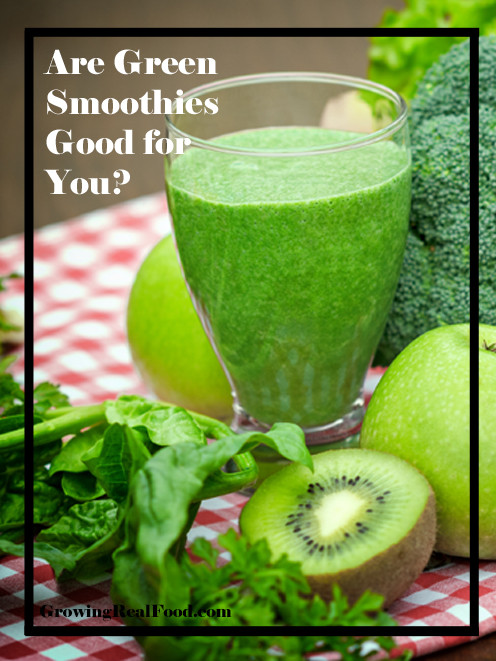 Are Smoothies Good For You
 Are Green Smoothies Good for You