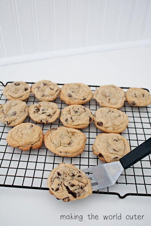 Basic Chocolate Chip Cookies
 Basic Chocolate Chip Cookie Recipe