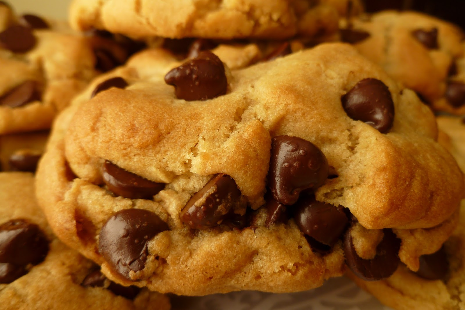 Basic Chocolate Chip Cookies
 The Pastry Chef s Baking Basic Great Chocolate Chip