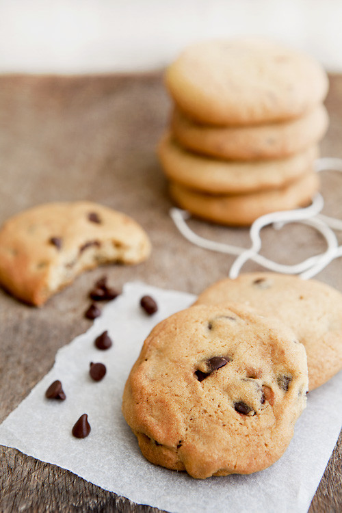 Basic Chocolate Chip Cookies
 erinnish Basic Chocolate Chip Cookies