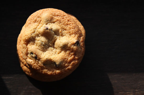 Basic Chocolate Chip Cookies
 Huge Neural Parasite Glitch