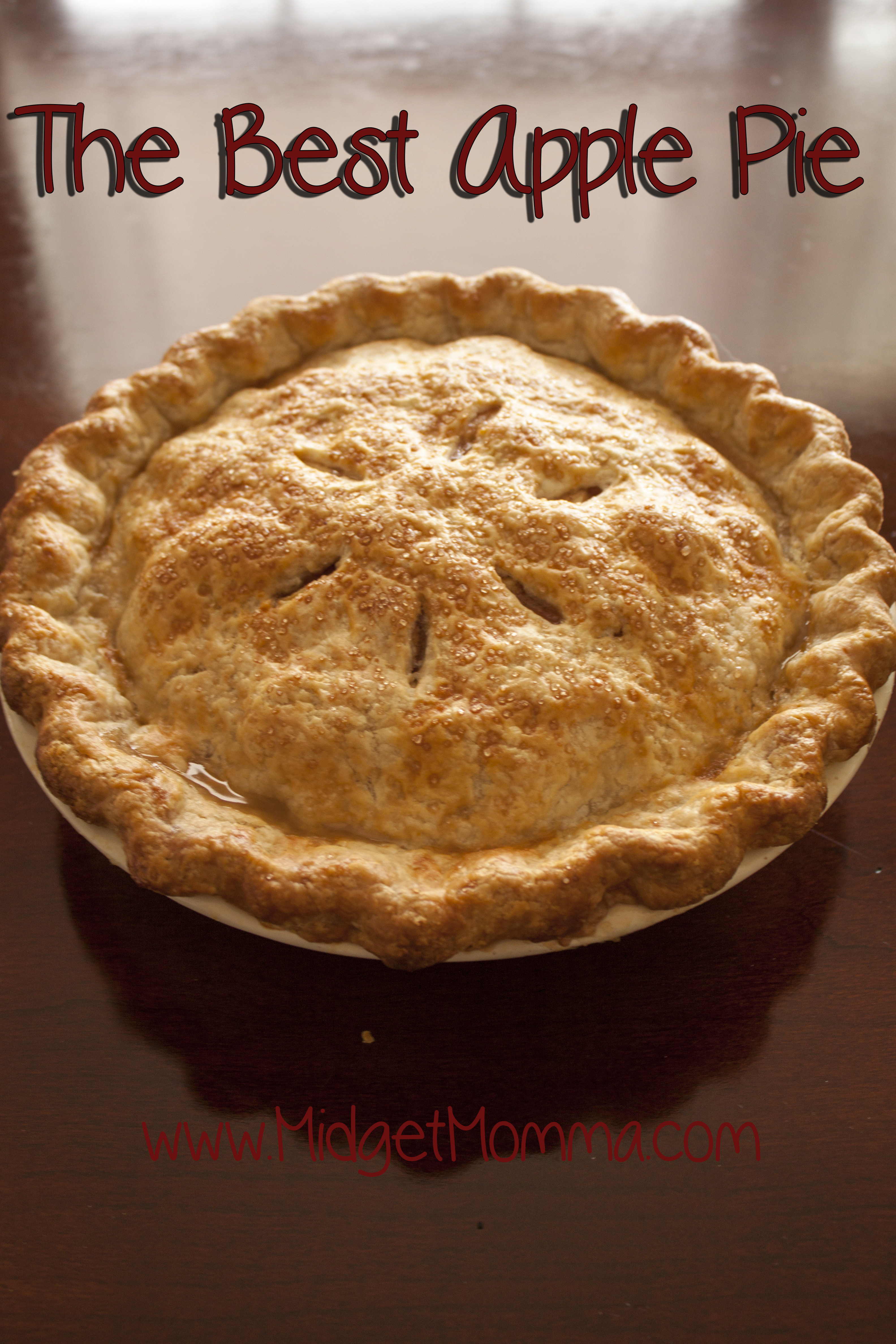 Best Apple Pie
 The Best Apple Pie Easy Apple Pie Recipe