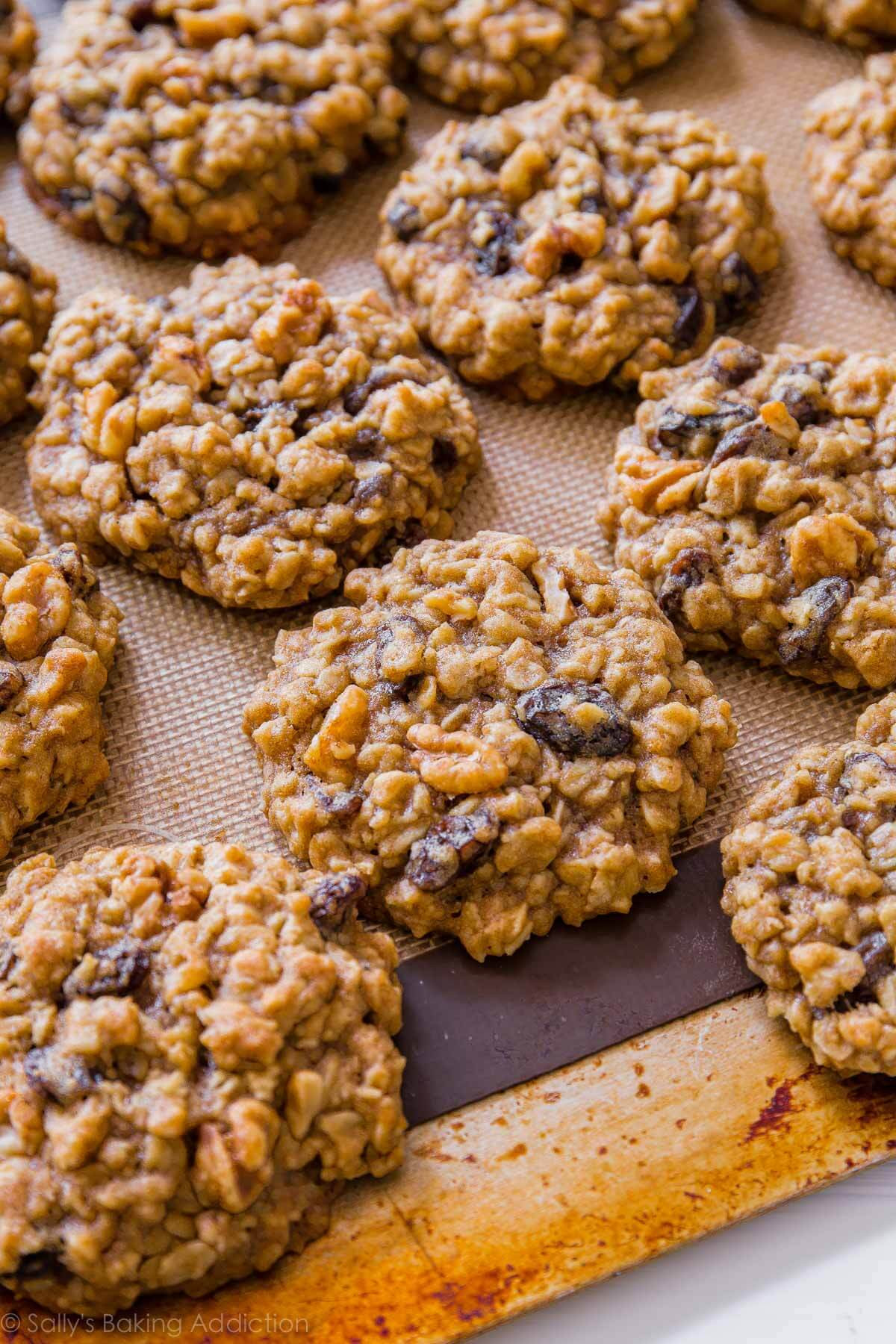 Best Chewy Oatmeal Cookies
 chewy oatmeal raisin cookies with molasses