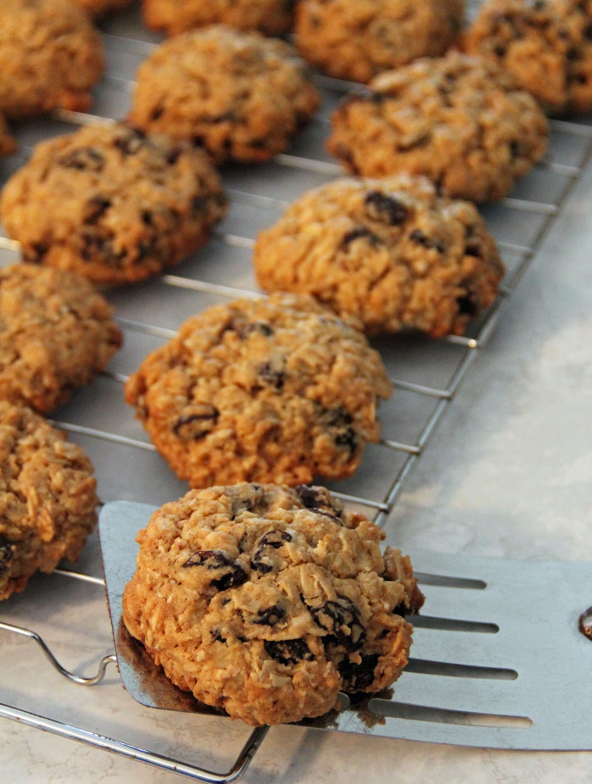 Best Chewy Oatmeal Cookies
 Jo and Sue Chewy Oatmeal Raisin Cookies