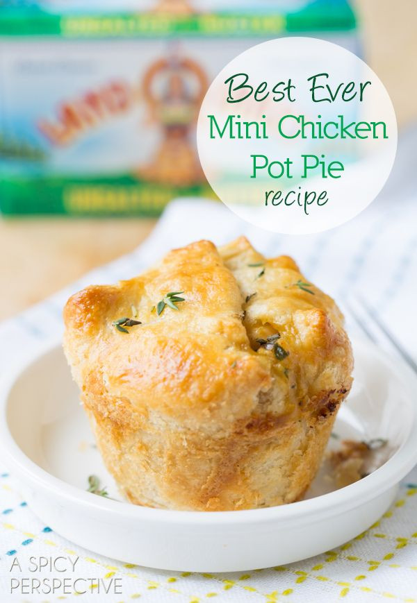 Best Chicken Pot Pie Recipe
 14 best images about Pot Pies on Pinterest