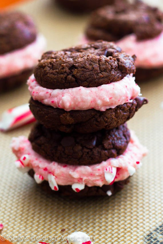 Best Christmas Cookies 2017
 11 Best Christmas Cookies Recipe 2016 Creative Sugar