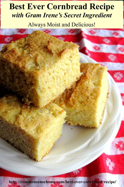 Best Cornbread Recipe
 Best Ever Cornbread Recipes Northern and Southern Style