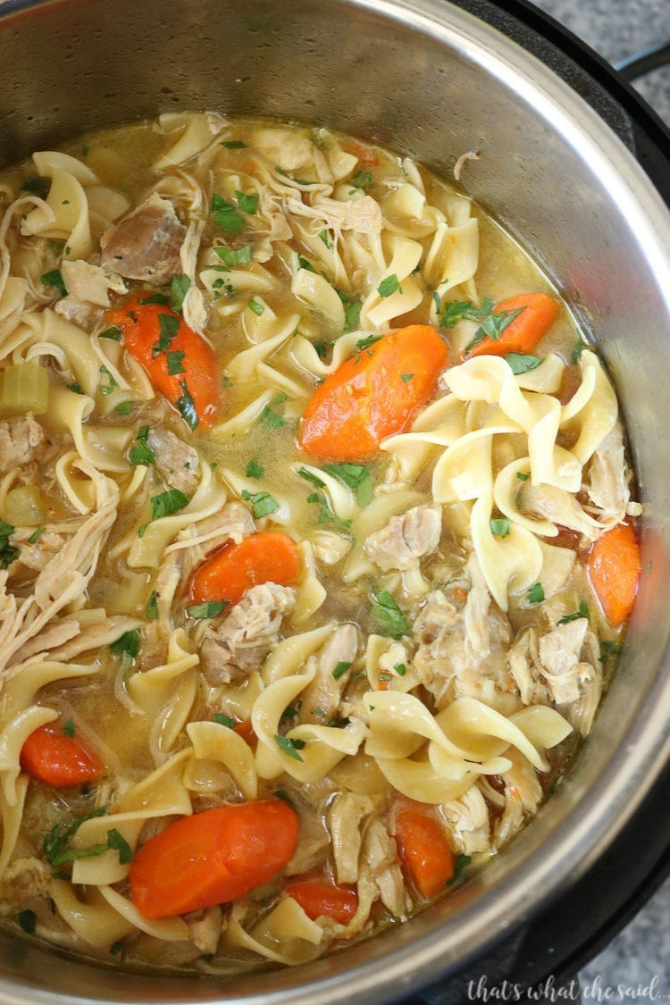 Best Instant Pot Chicken Recipes
 Instant Pot Chicken Noodle Soup That s What Che Said