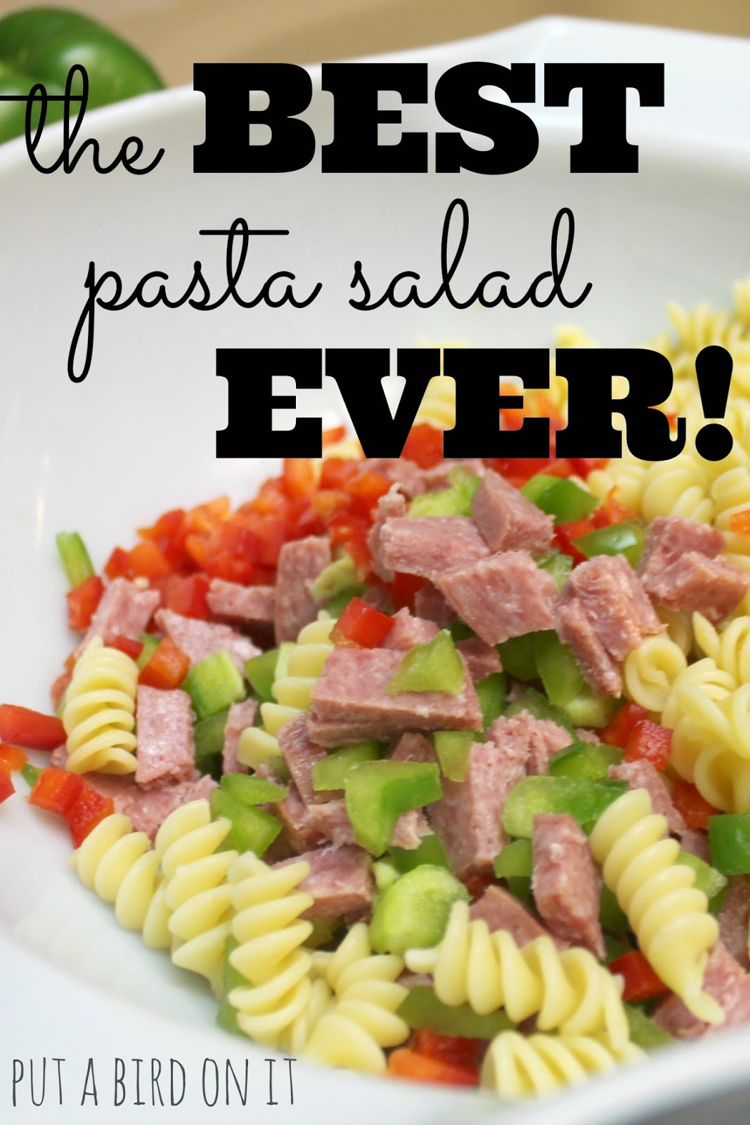 Best Italian Pasta Recipes
 Put A Bird It The Best Italian Pasta Salad Ever