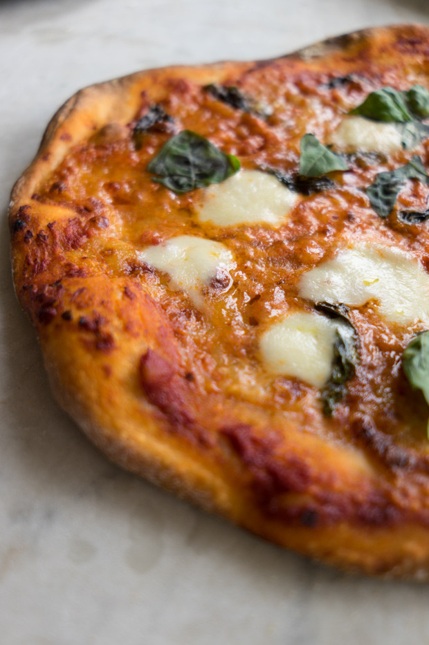 Best Italian Pizza Dough Recipe
 best italian pizza dough recipe