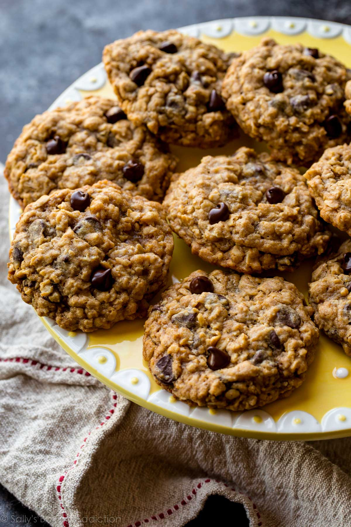 Best Oatmeal Chocolate Chip Cookies
 Soft & Chewy Oatmeal Chocolate Chip Cookies Sallys
