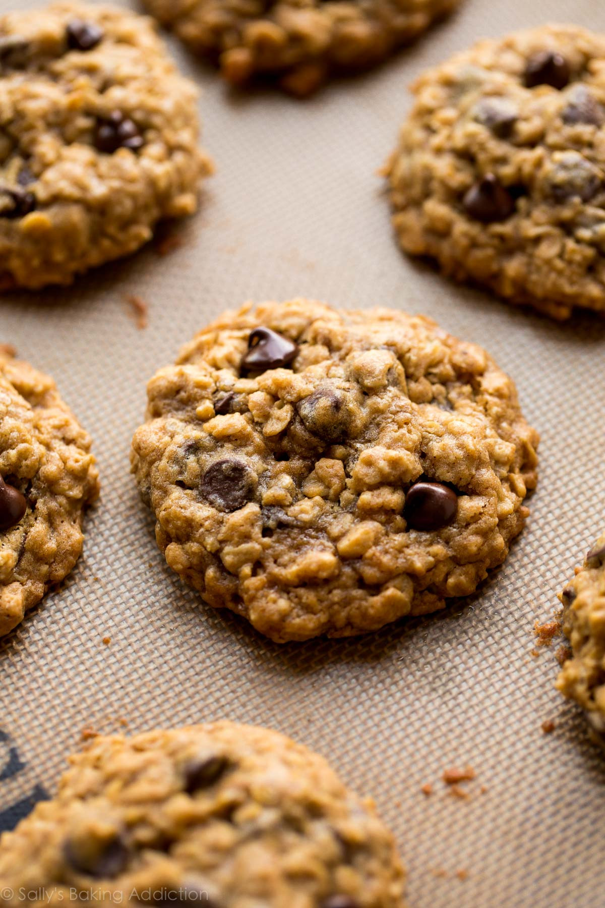 Best Oatmeal Chocolate Chip Cookies
 Soft & Chewy Oatmeal Chocolate Chip Cookies Sallys