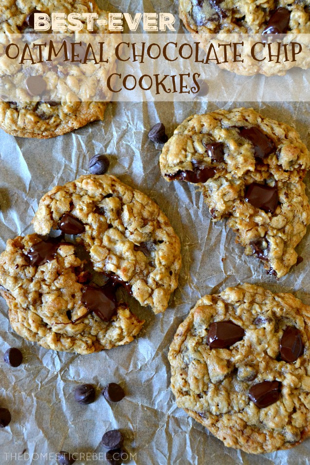 Best Oatmeal Chocolate Chip Cookies
 The Best Soft & Chewy Oatmeal Chocolate Chip Cookies