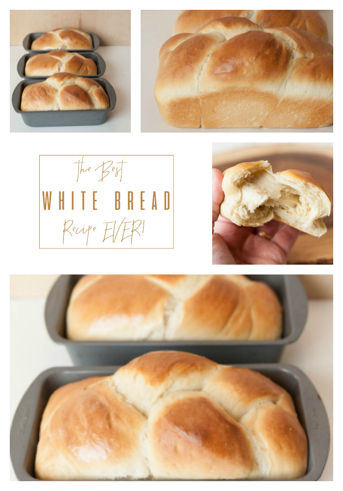 Best White Bread Recipe
 Best White Bread Recipe EVER