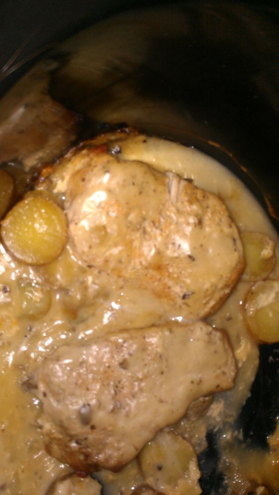 Boneless Pork Chops In Crock Pot
 Crock pot pork Boneless pork chops and Pork chops on