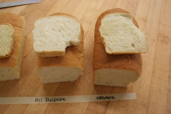 Bread Machine Recipes All Purpose Flour
 bread machine white bread with all purpose flour