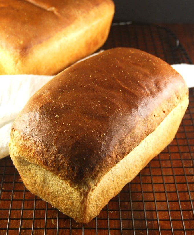 Bread Recipe No Yeast
 sourdough sandwich bread no yeast