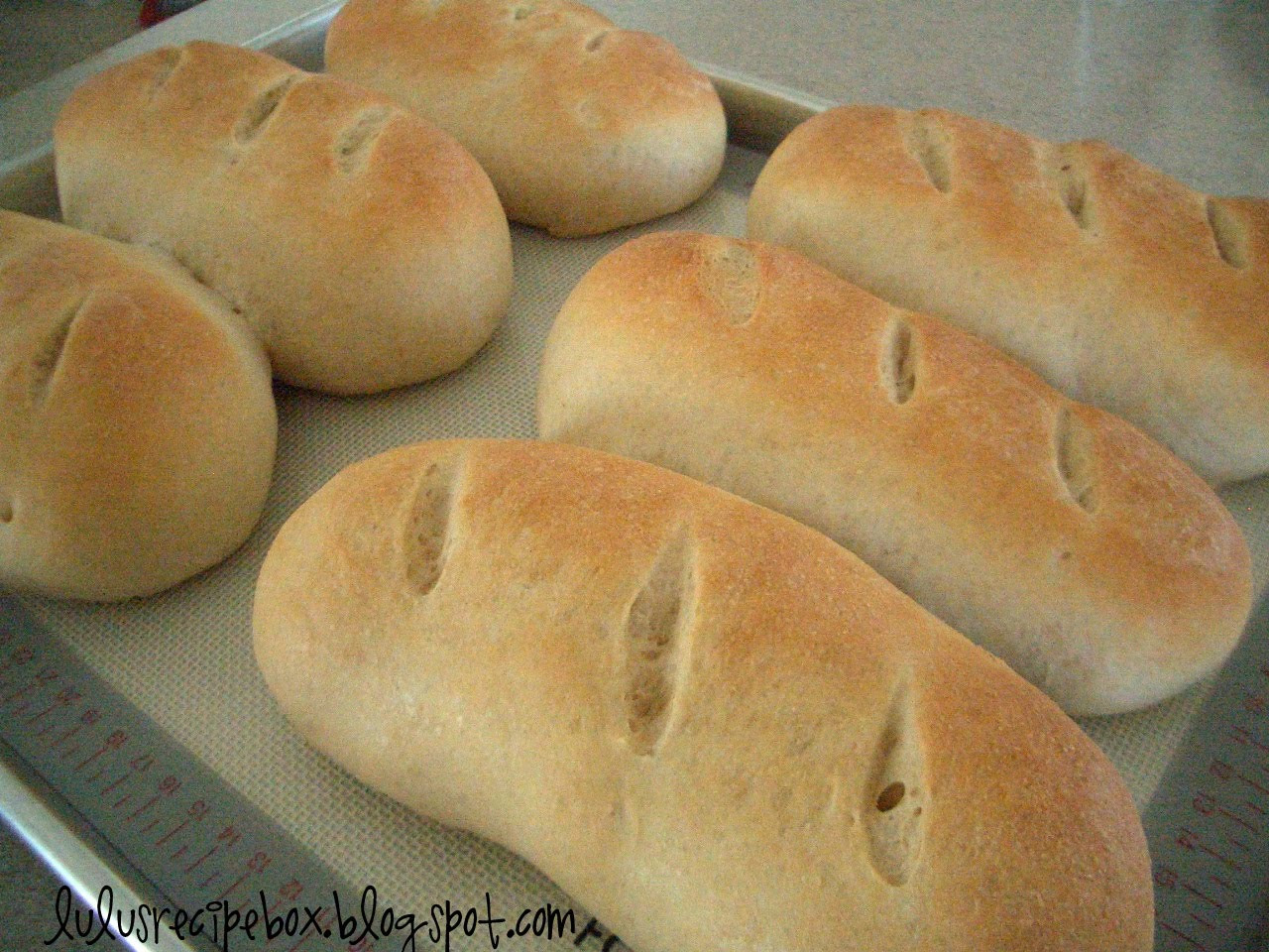 Bread Roll Recipe
 Leesh & Lu s Recipe Box French Bread Rolls