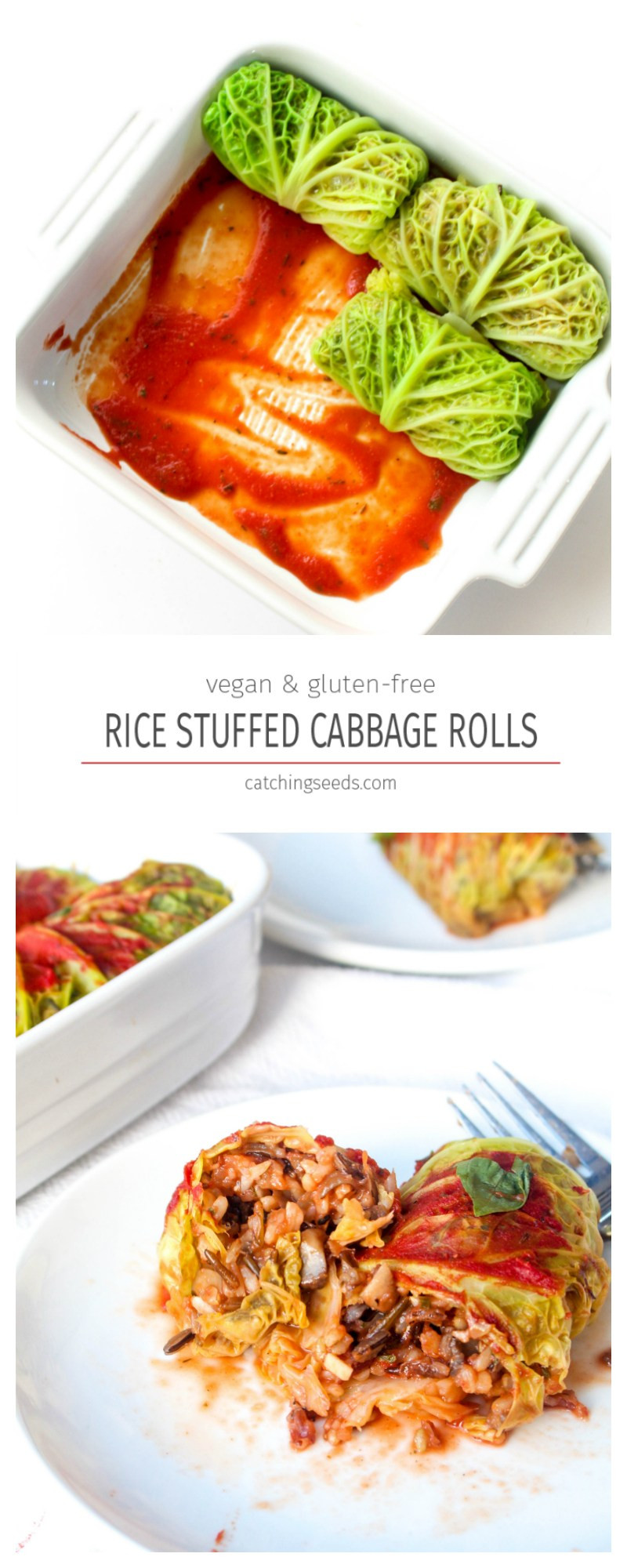 Cabbage Recipes Vegan
 Cabbage Rolls with Wild Rice & Mushroom Stuffing
