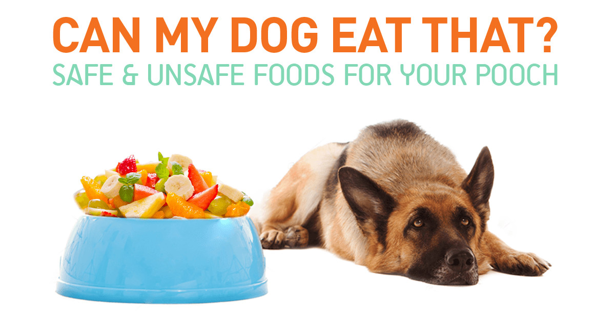 Can Dogs Eat Potato Chips
 Can My Dog Eat That Safe and Unsafe Foods For Your Pooch