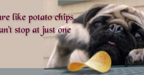 Can Dogs Eat Potato Chips
 Pug Cover For Your Timeline Pug Quotes