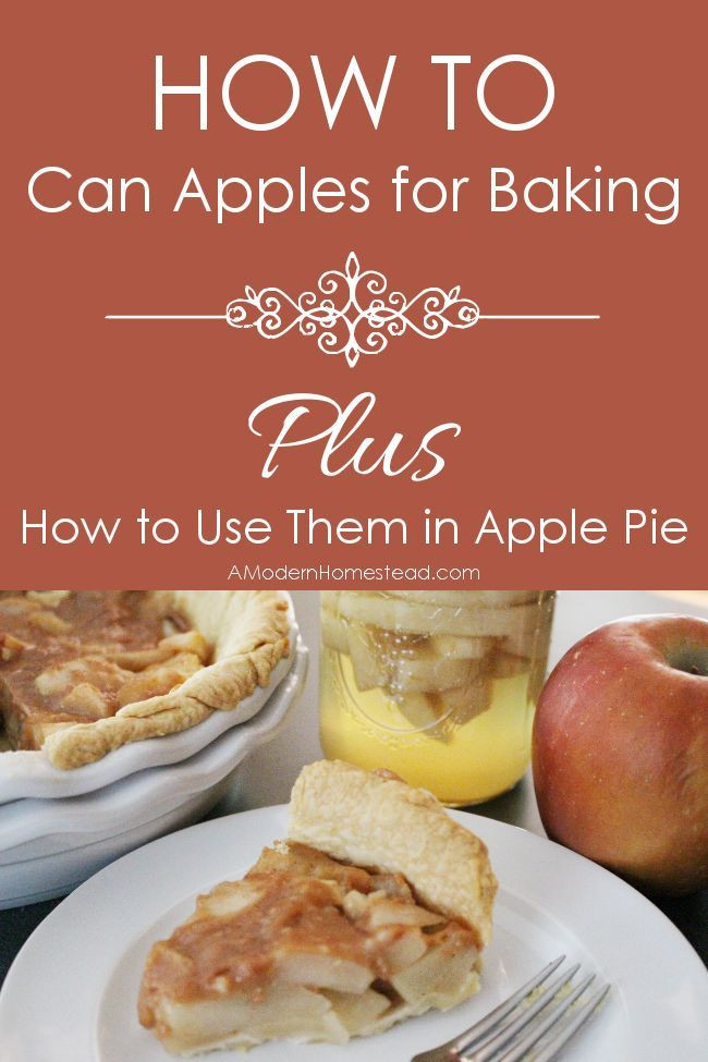Can You Freeze Apple Pie
 219 best images about How to Freeze and Can Food on