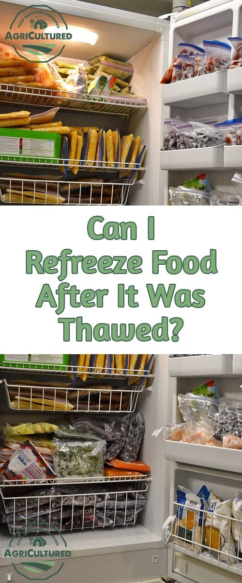 Can You Refreeze Ground Beef
 Can I Refreeze Food After It Was Thawed My Fearless Kitchen