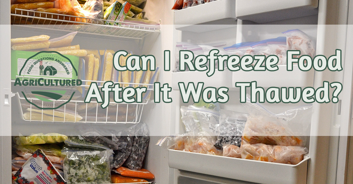 Can You Refreeze Ground Beef
 Can I Refreeze Food After It Was Thawed My Fearless Kitchen