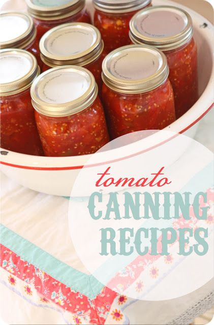 Canning Spaghetti Sauce
 best recipe for canned spaghetti sauce