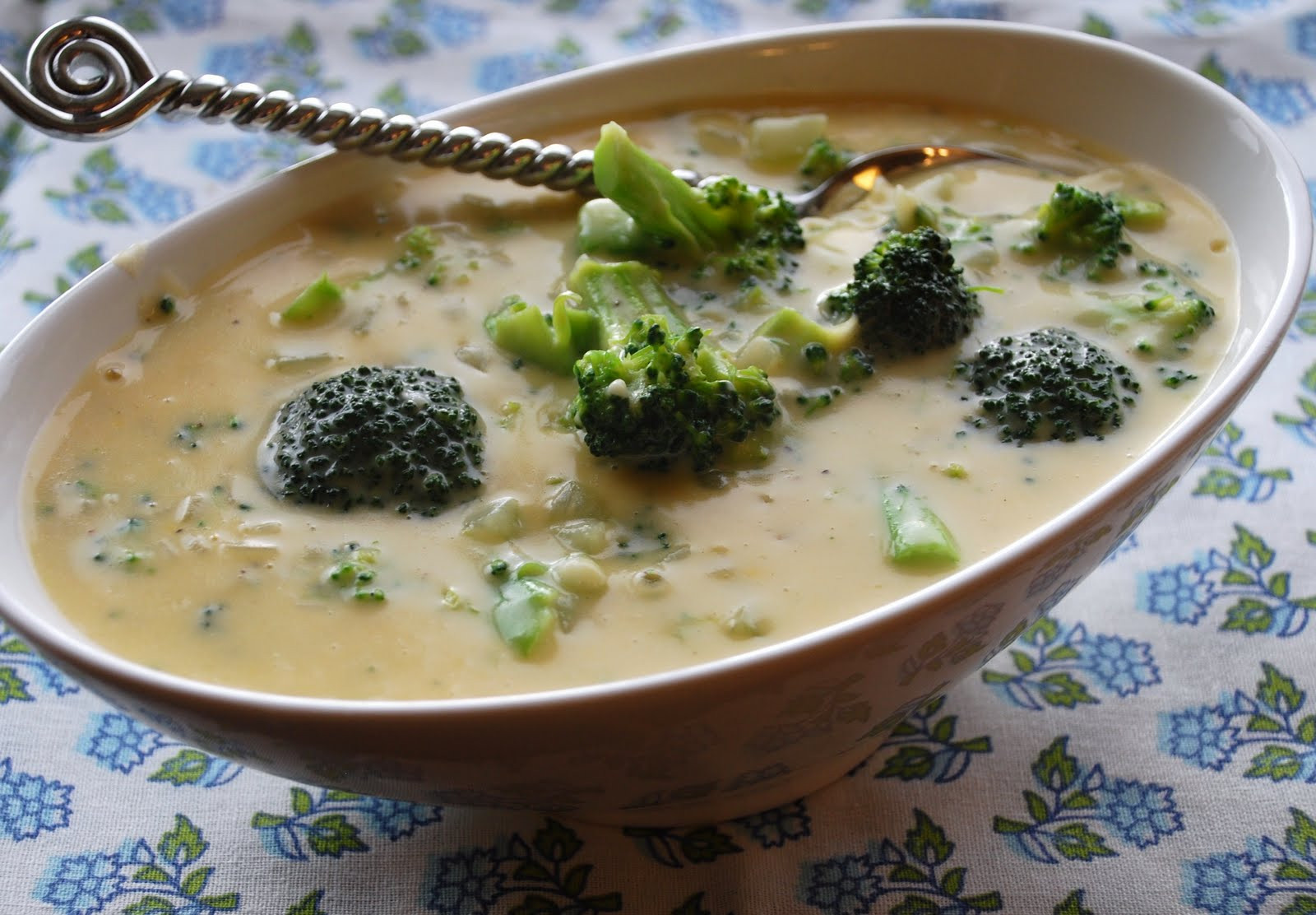 Cheesy Broccoli Soup
 Everyday Insanity Cheesy Broccoli Soup