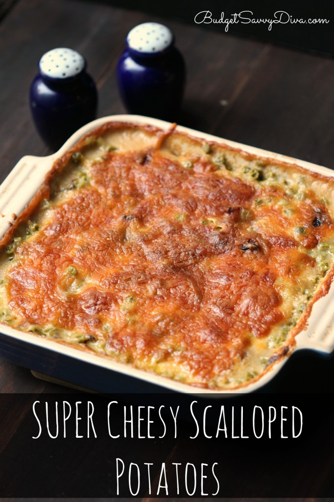 Cheesy Scalloped Potatoes Recipe
 SUPER Cheesy Scalloped Potatoes Recipe