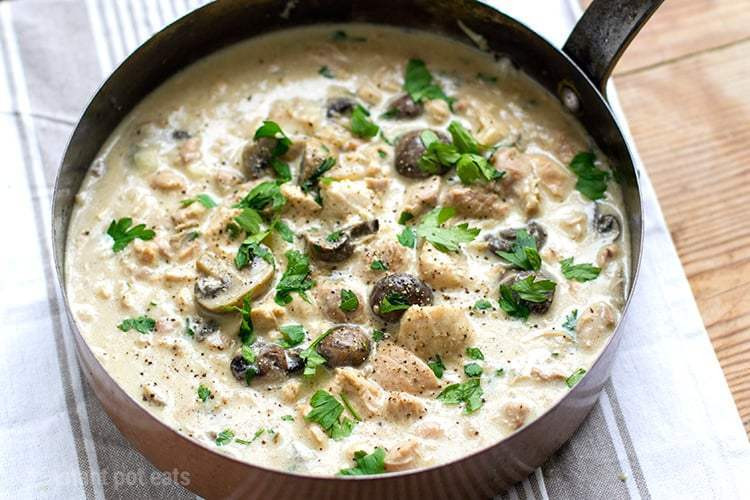 Chicken And Cream Of Mushroom Soup
 Instant Pot Creamy Garlic Chicken Stew Instant Pot Eats