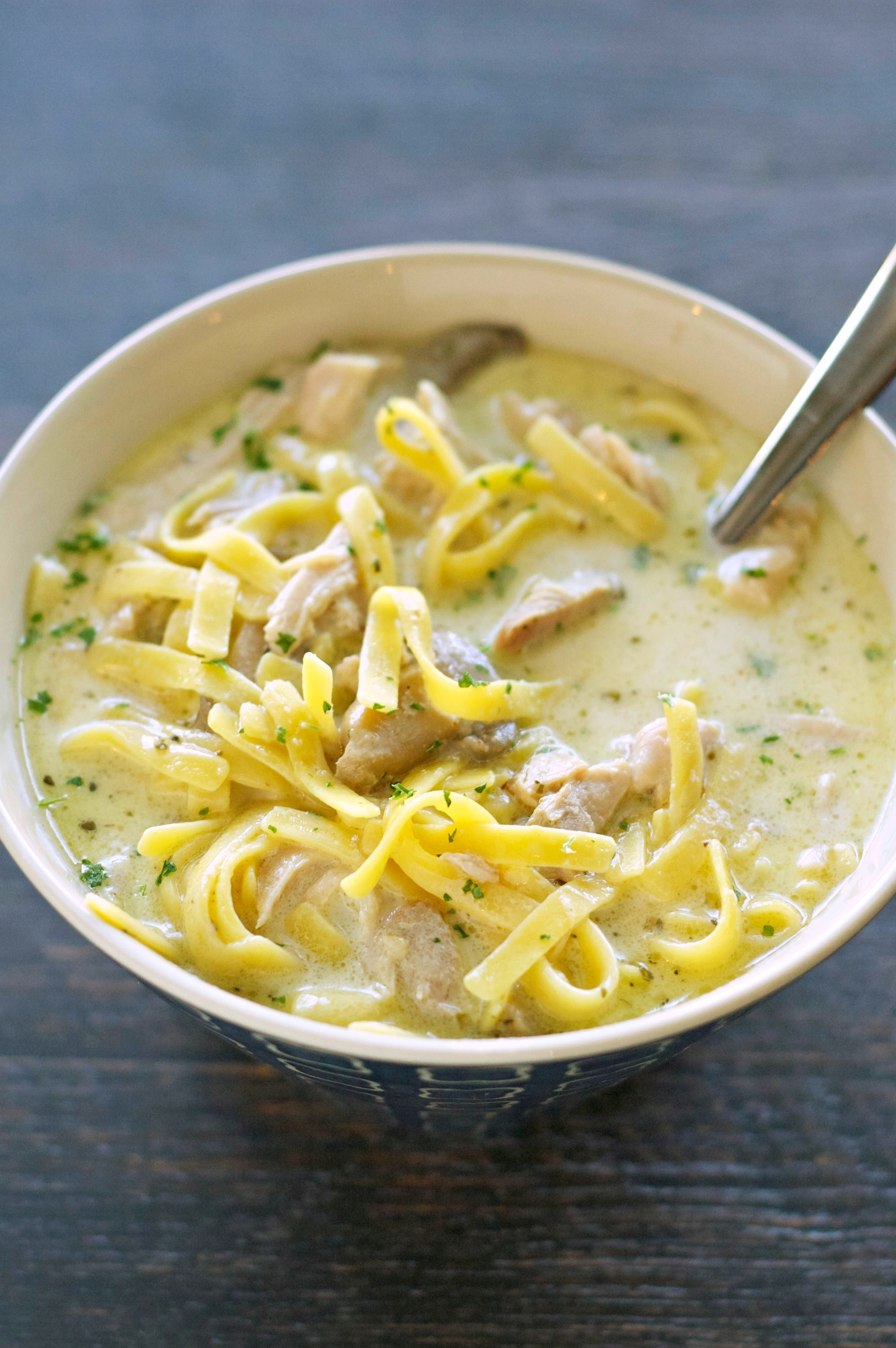 Chicken Noodles Soup
 Slow Cooker Creamy Chicken Noodle Soup