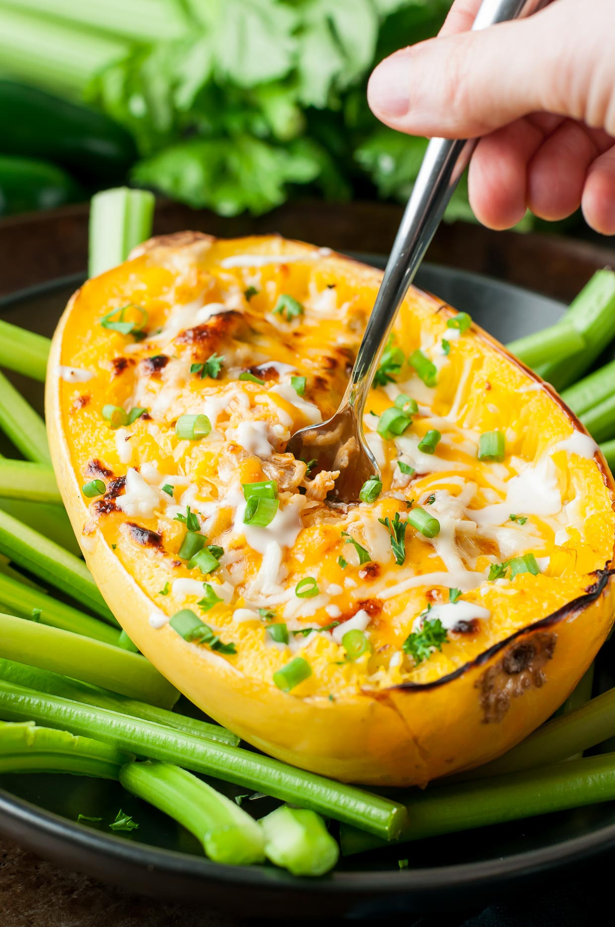 Chicken Spaghetti Squash
 Cheesy Buffalo Chicken Spaghetti Squash Bowls