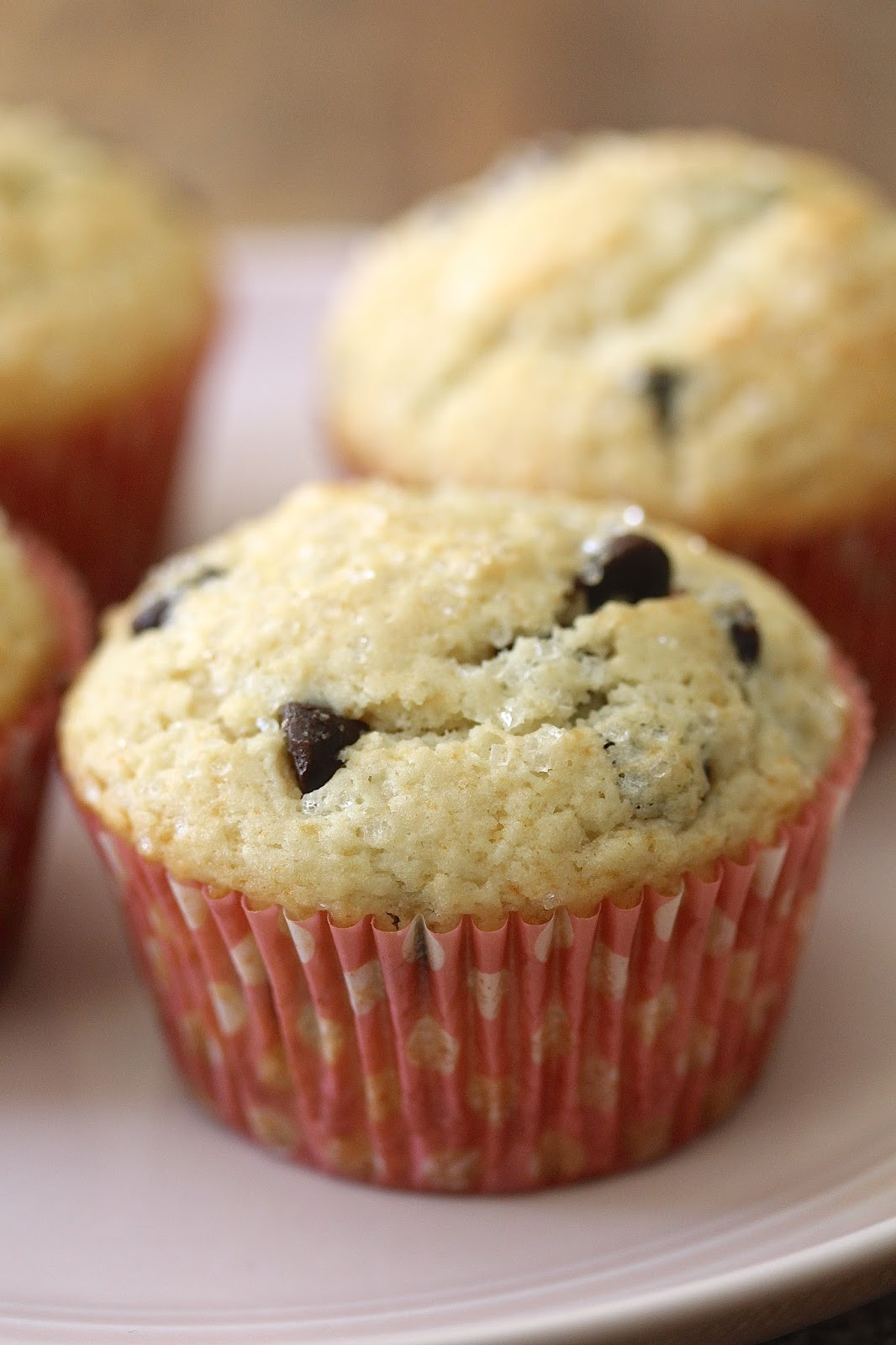 Chocolate Chip Muffins
 Chocolate Chip Muffins MuffinMonday