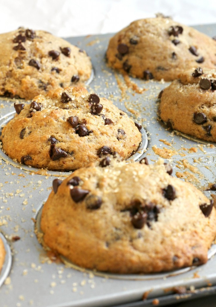 Chocolate Chip Muffins
 Healthy Chocolate Chip Muffins Bakery Style