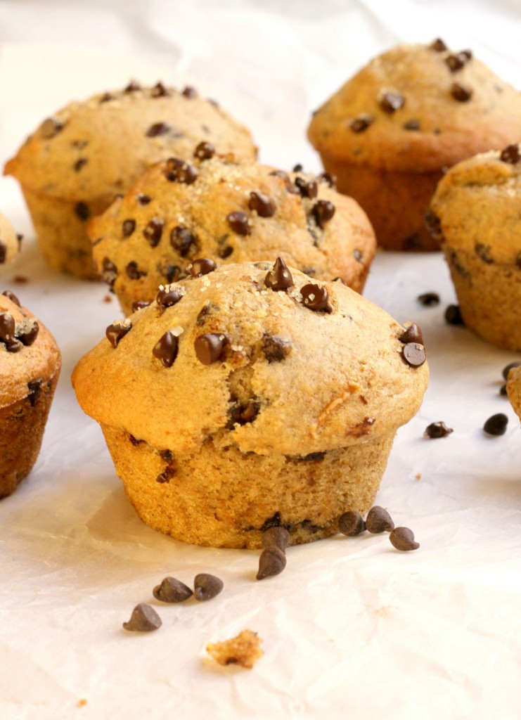 Chocolate Chip Muffins
 Healthy Chocolate Chip Muffins Bakery Style