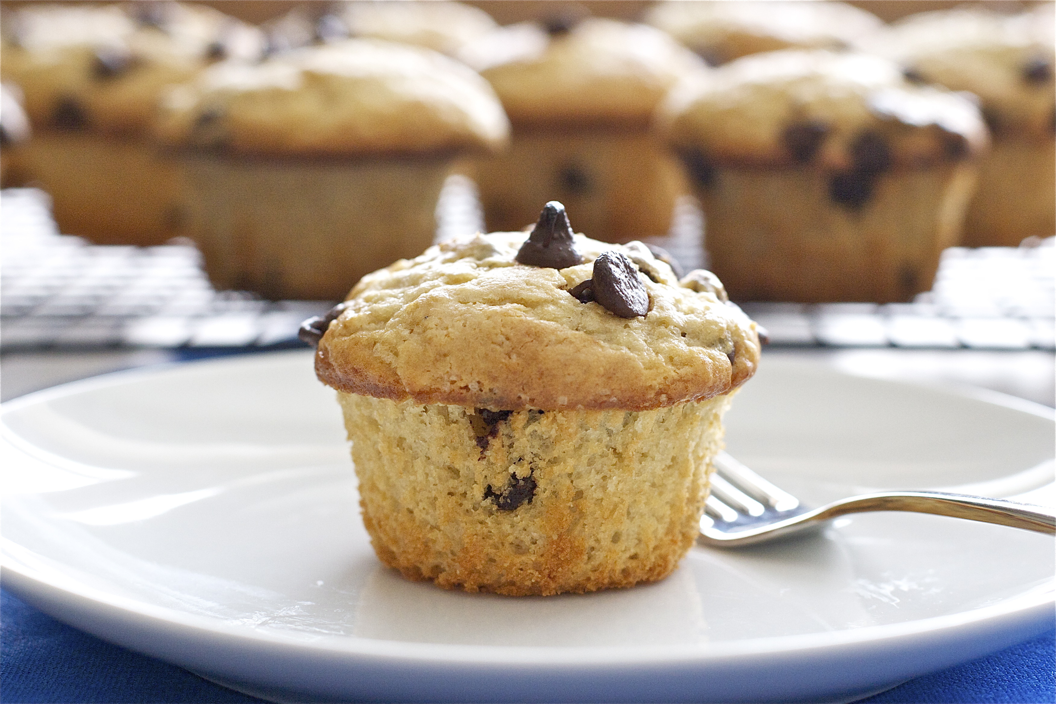 Chocolate Chip Muffins
 Chocolate Chip Muffins with Greek Yogurt