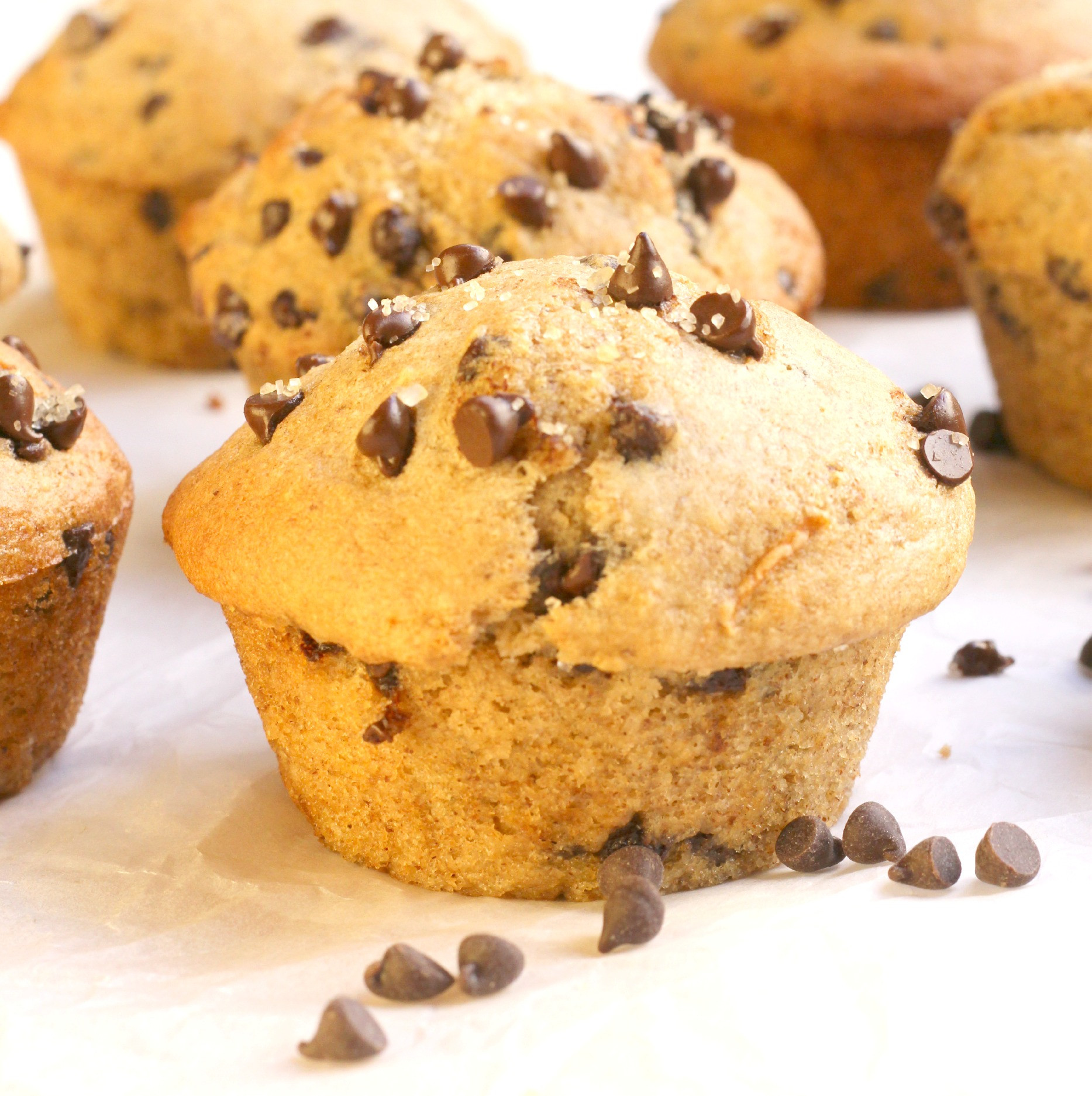 Chocolate Chip Muffins
 Healthy Chocolate Chip Muffins Bakery Style
